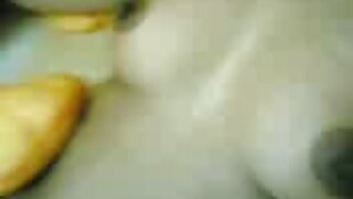 Gà đầu xxx thuy trang Ole ấn fox